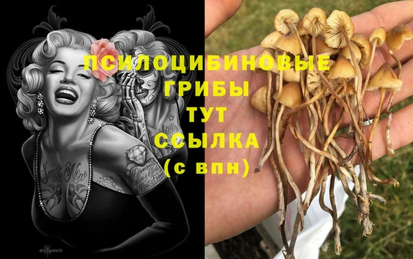 таблы Семикаракорск